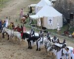 Festivalul de Artă Medievală va fi organizat în august
