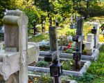 Arhiepiscopul Sucevei și Rădăuților verifică starea cimitirelor